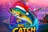 Big Catch Xmas